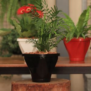 6-Vasos-Quadrado_preto-cores